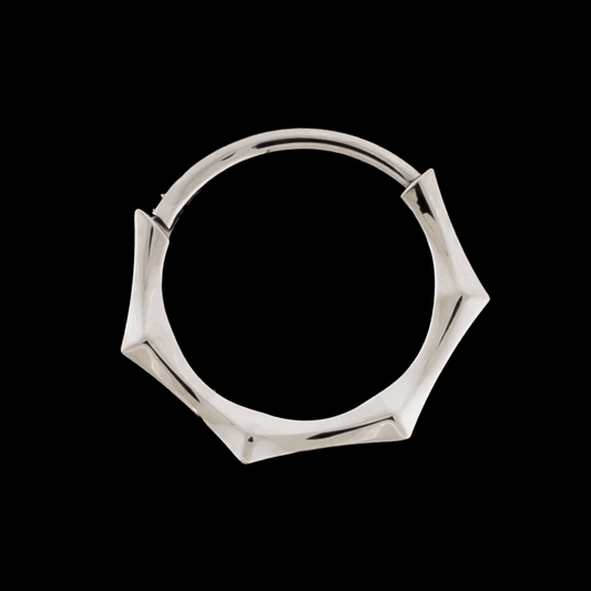 Maris- Titanium Hinged Ring - Khrysos Jewelry Khrysos Jewelry
