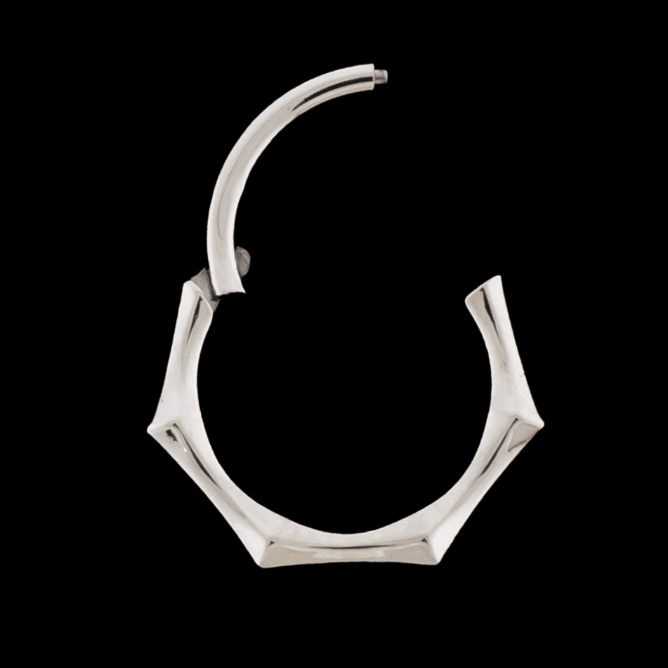 Maris- Titanium Hinged Ring - Khrysos Jewelry