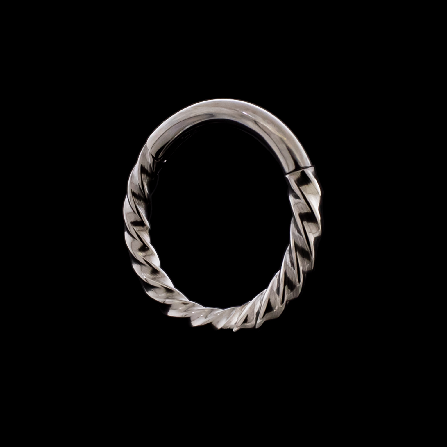 Nellie- Titanium Hinged Ring - Khrysos Jewelry