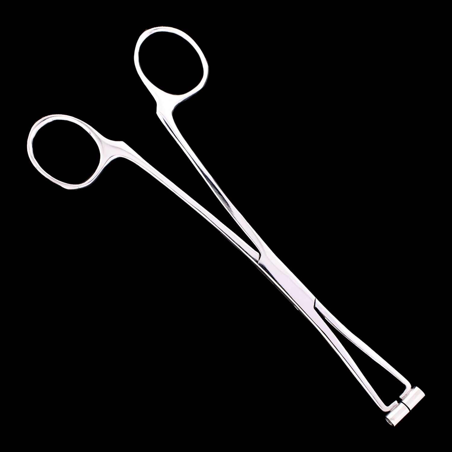 Septum Forceps - Khrysos Jewelry