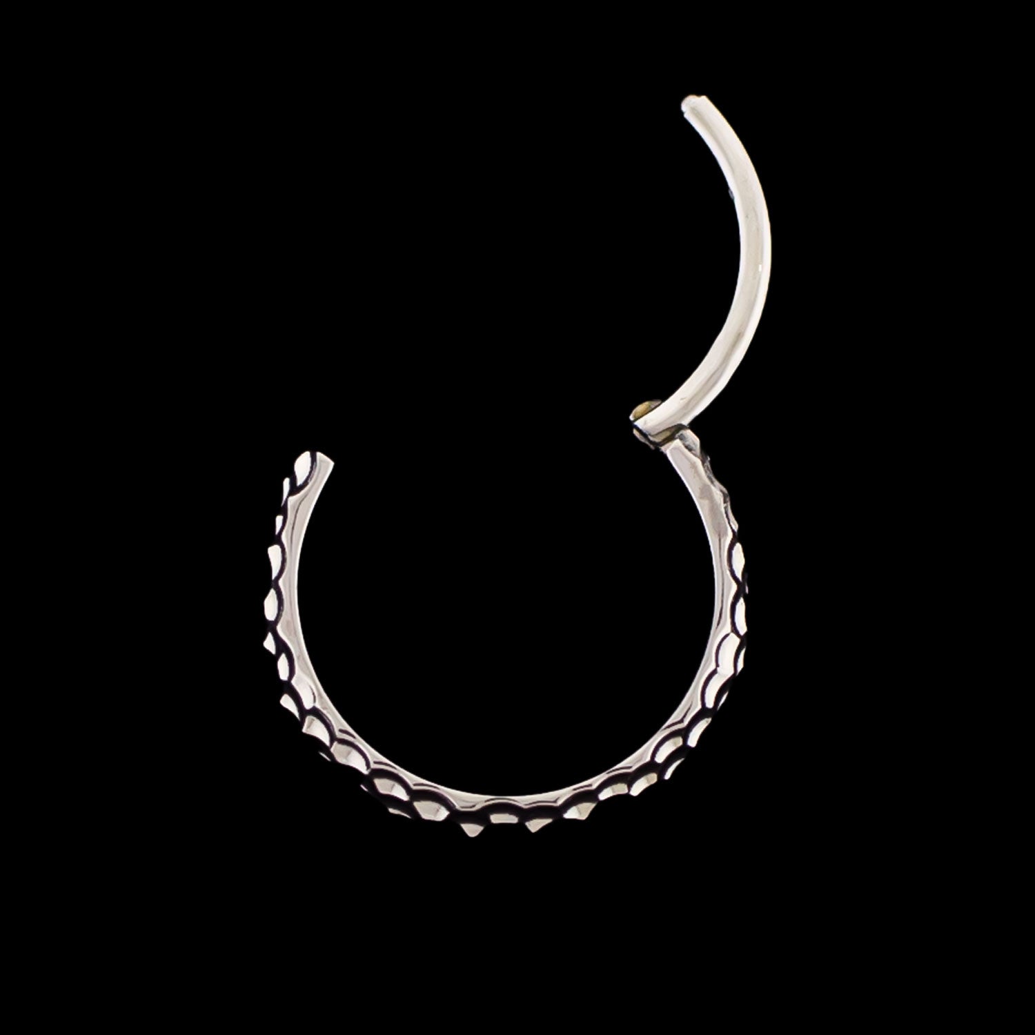 ASTM F-136 Titanium Hinged Rings